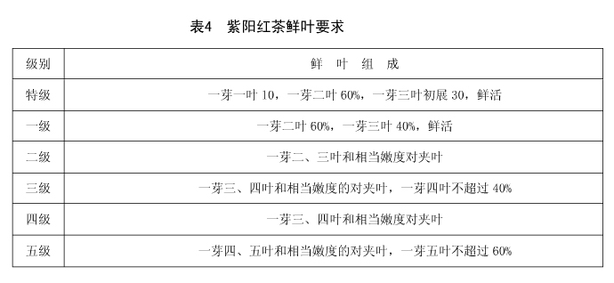 红茶鲜叶级别